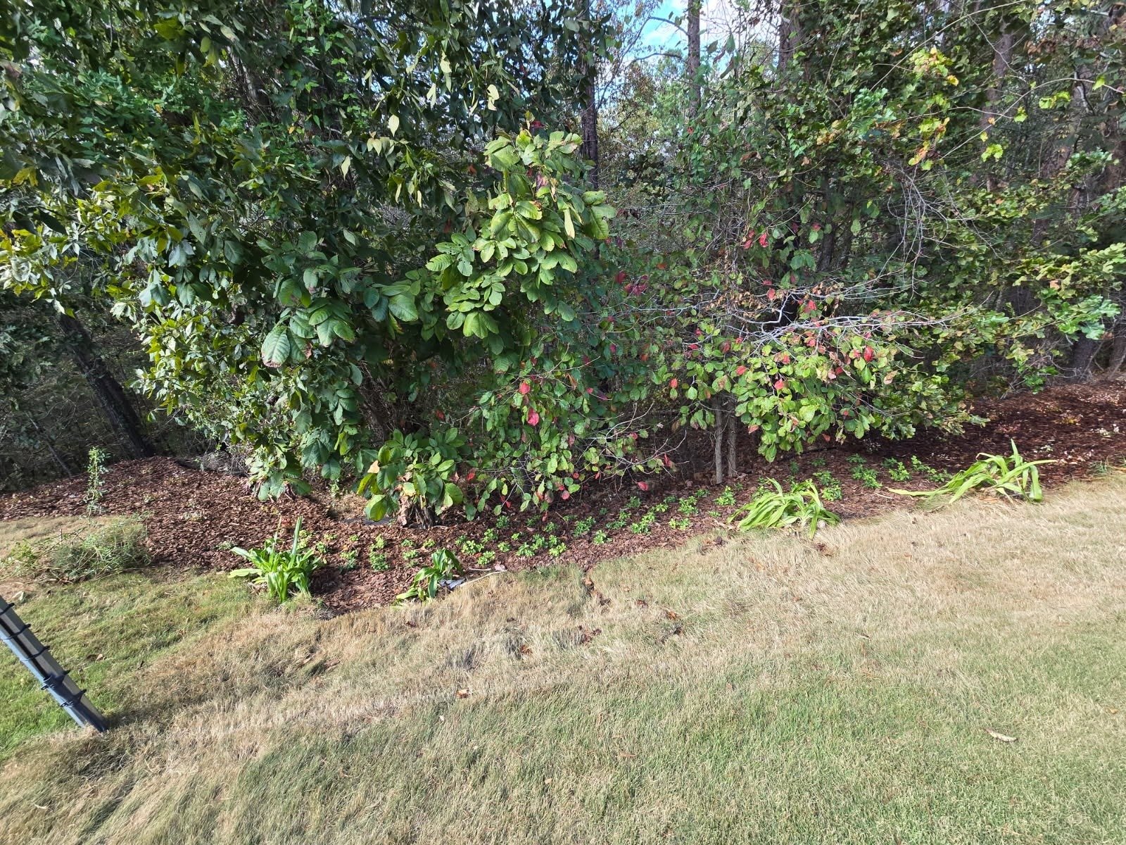 Romero Landscaping